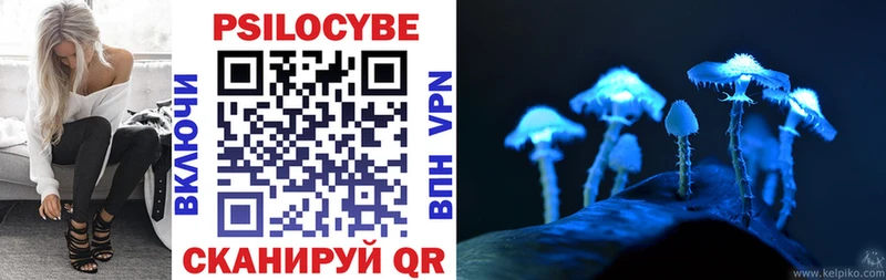 Купить Торжок Псилоцибиновые грибы мухоморы
